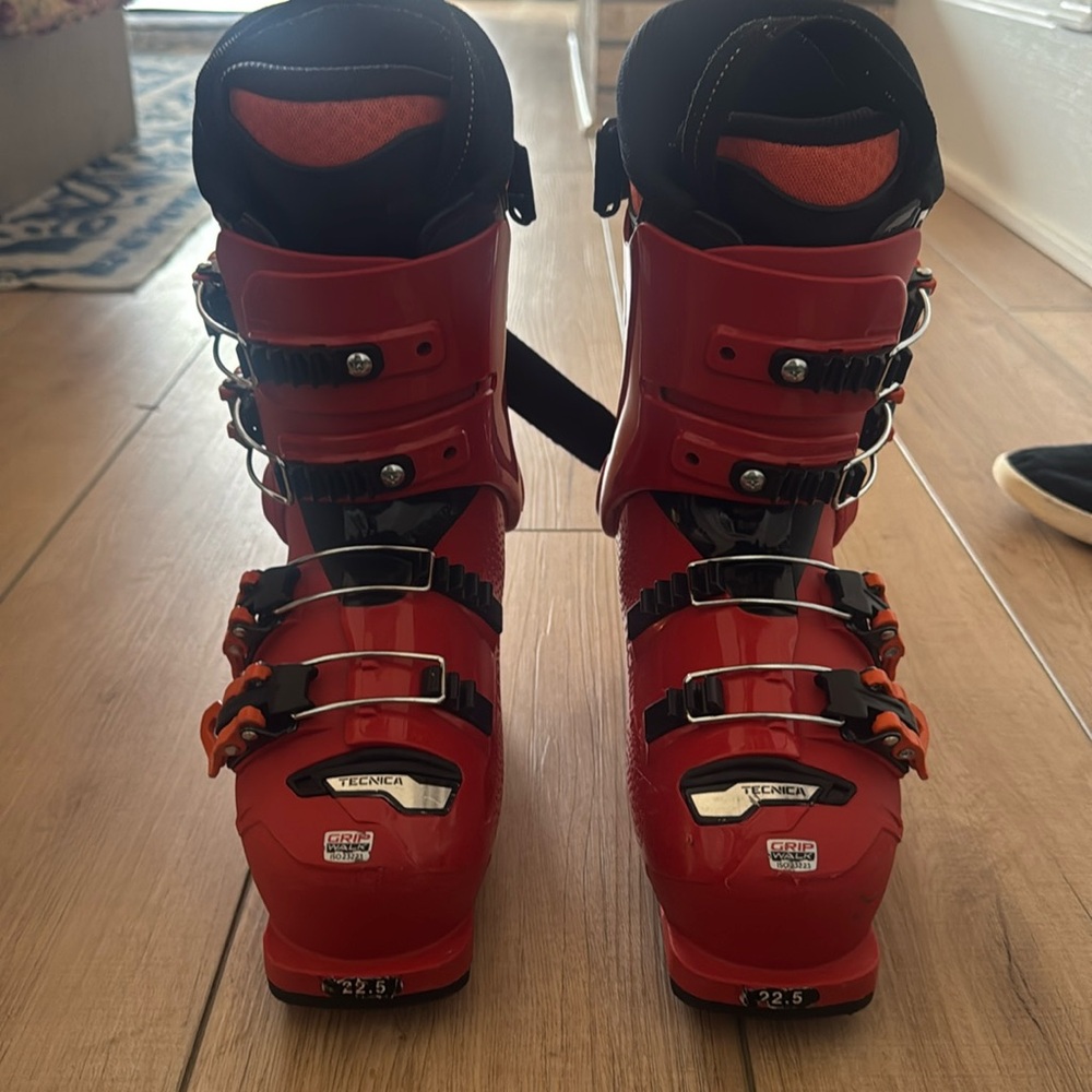 Brand new (never worn) Tecnica Cochise Junior ski boots